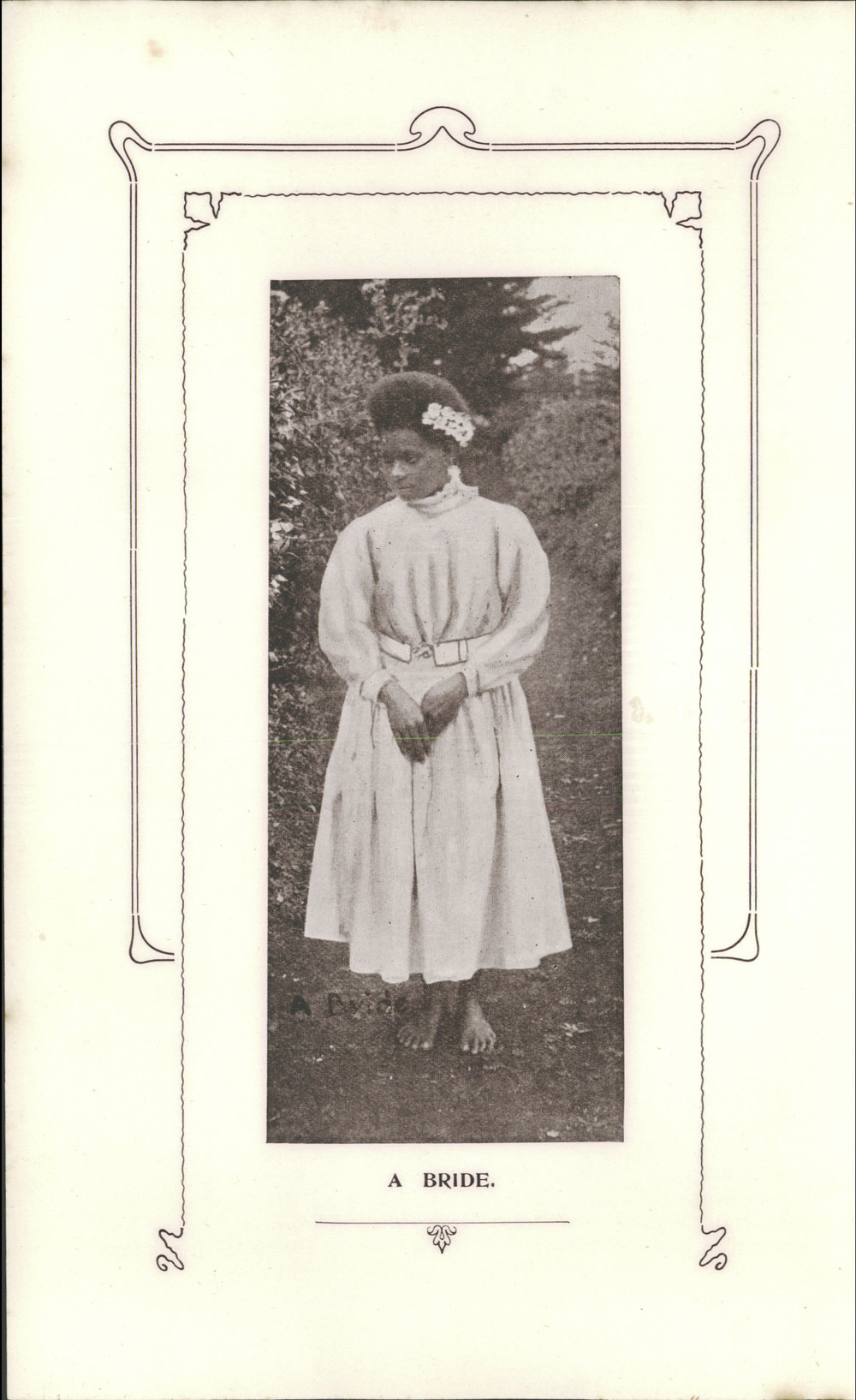 Southern Cross Log: Issue 138, November 1906