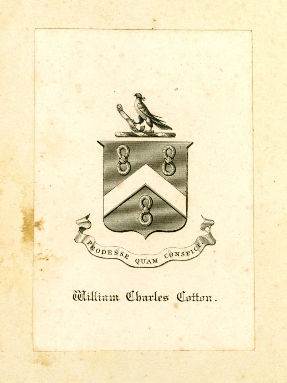 William Charles Cotton