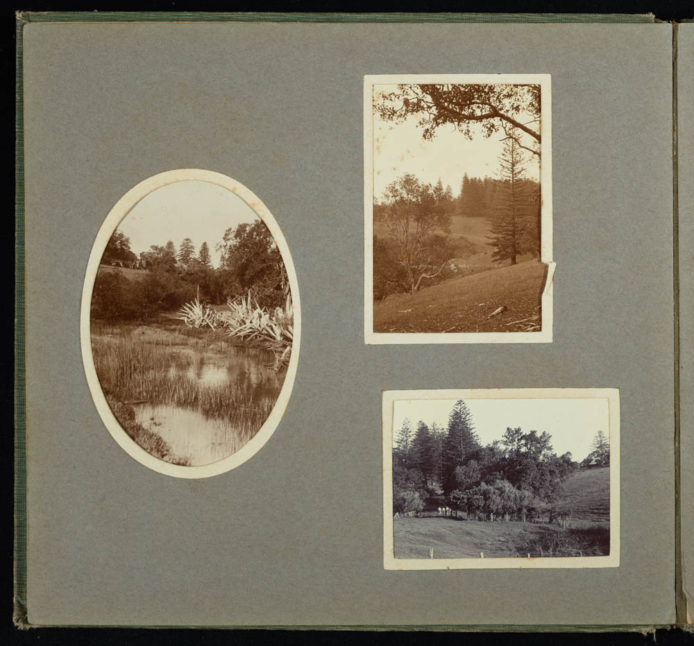 Palmer Family Album Page 8