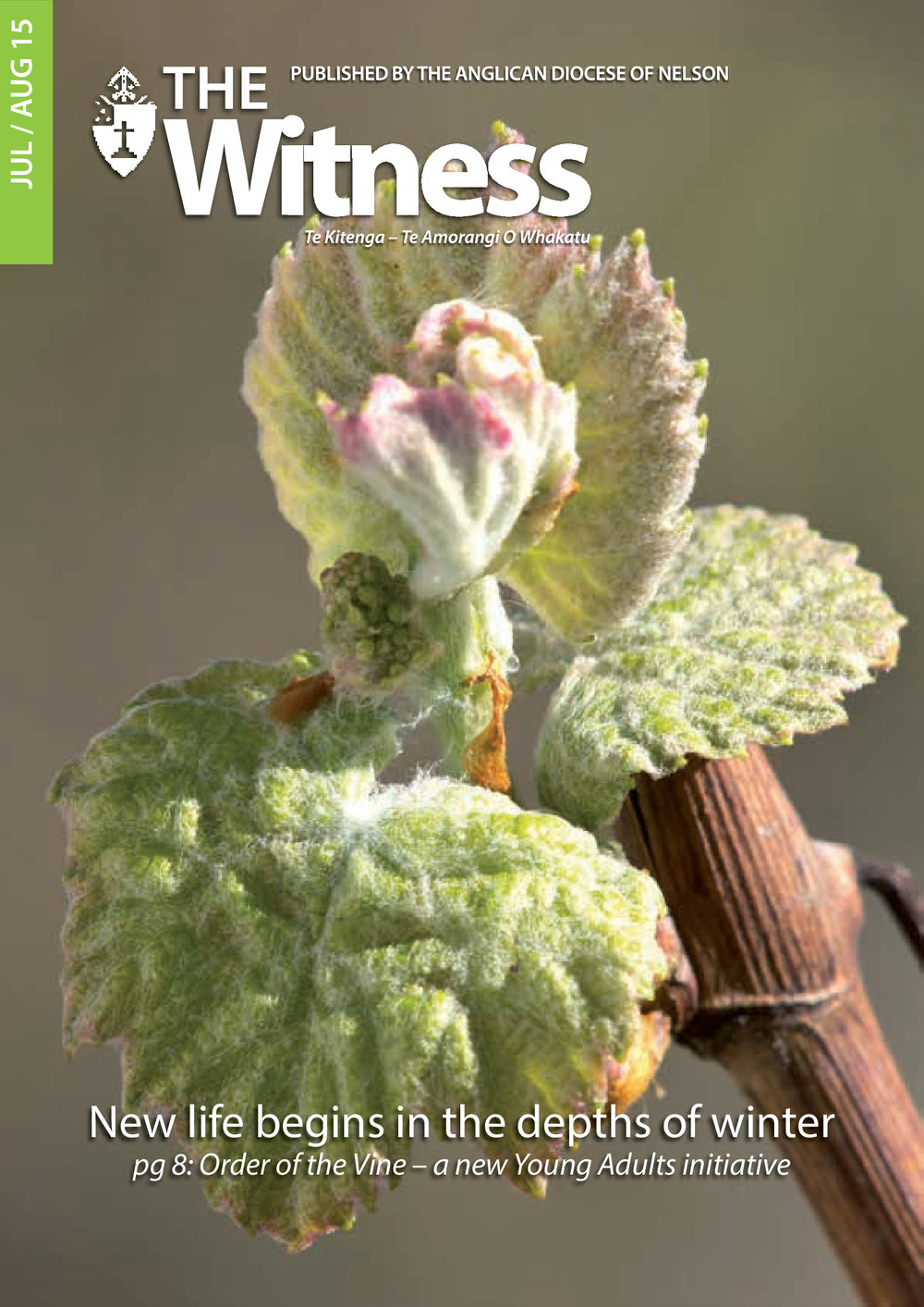 The Witness July - August 2015