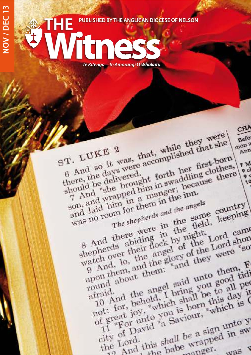 The Witness November - December 2013