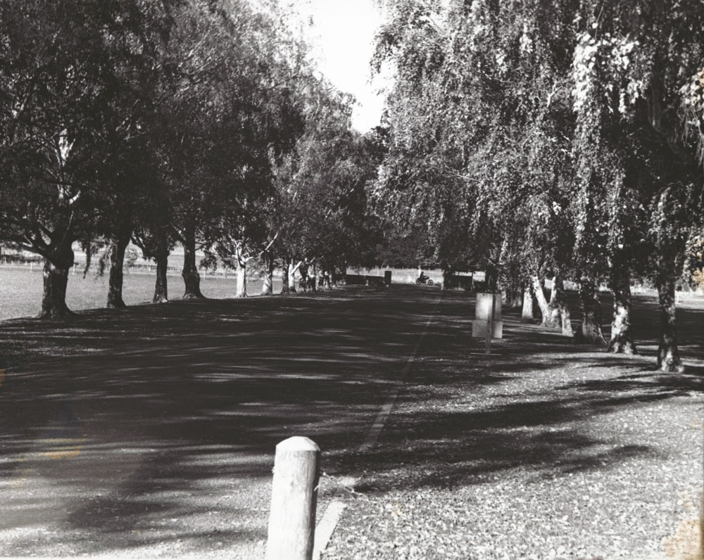 Te Aute College entry to college