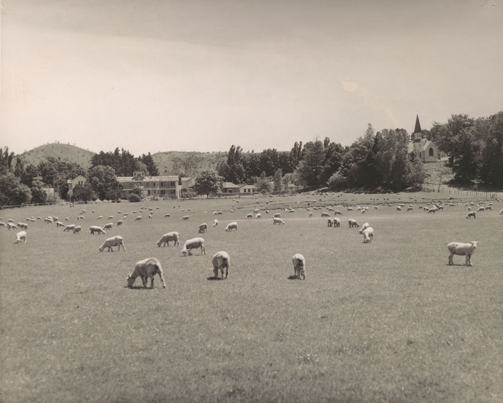 Te Aute College farm