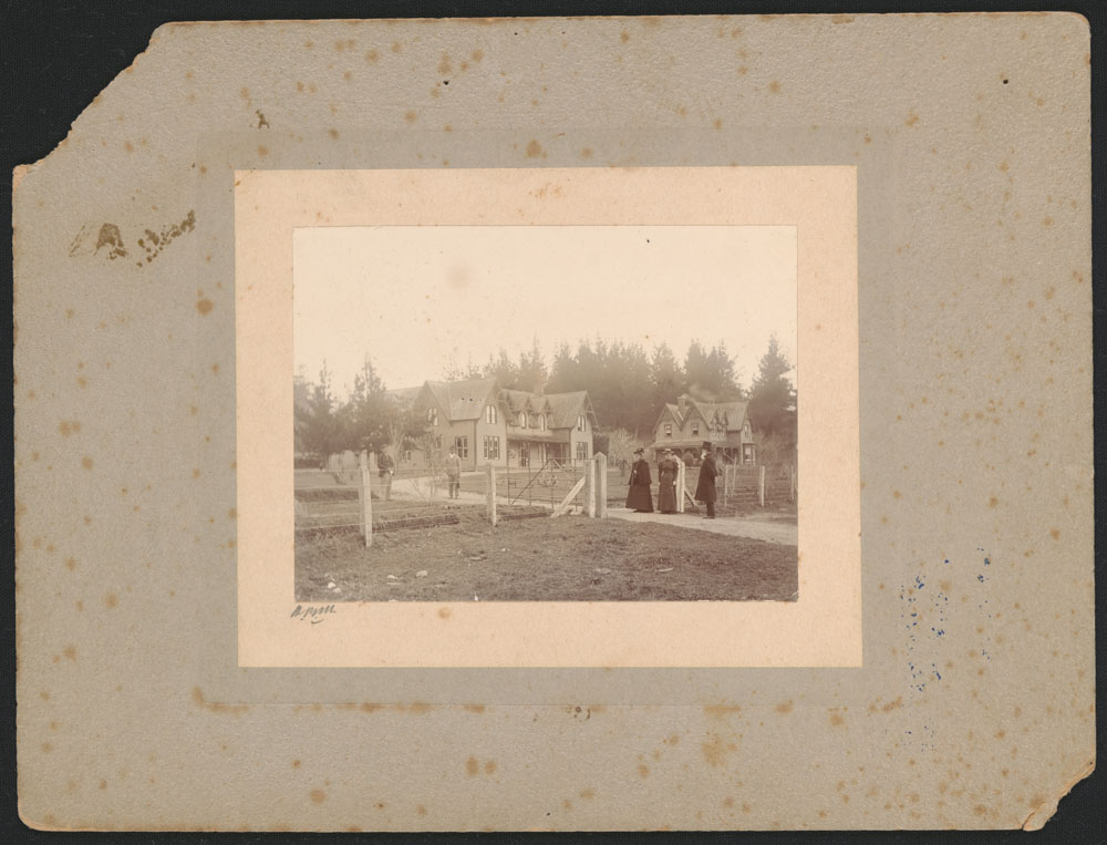 Te Aute College from the gate (33a)