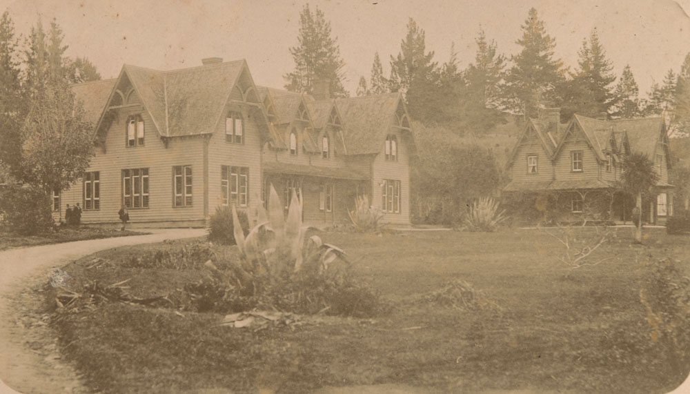 Te Aute College collection of 4 photos (photo 3)