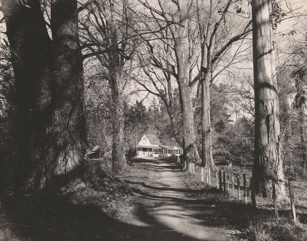 Te Aute College view of the House