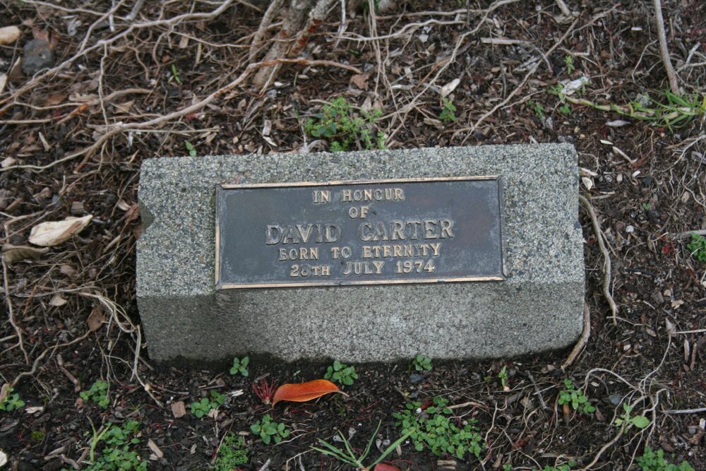 David Carter Grave