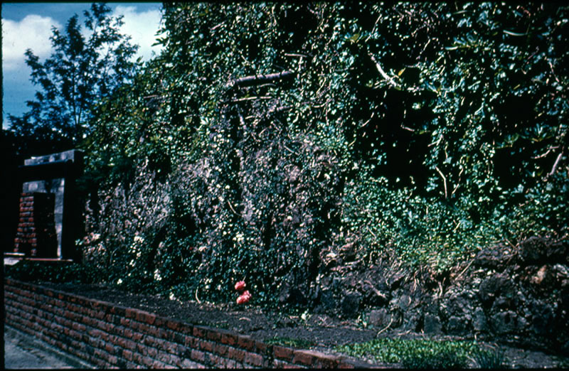 Paihia Mission House