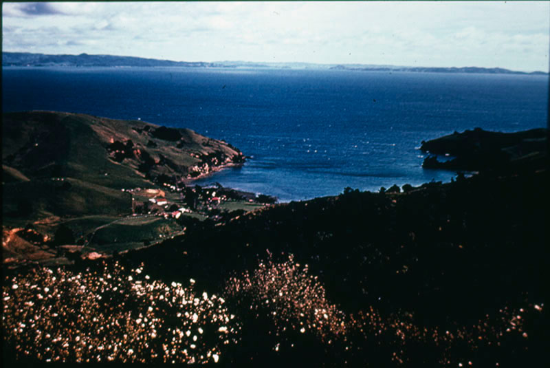 Hauraki Gulf from Coromandel