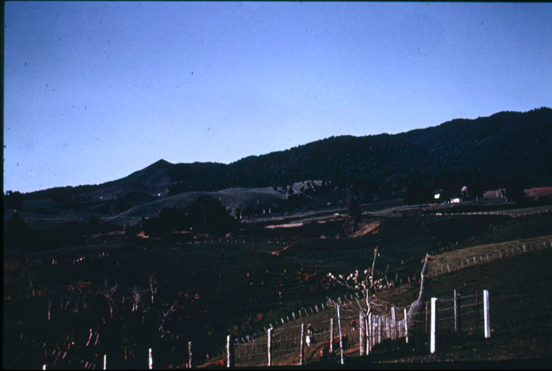 Maungatautari Mission site
