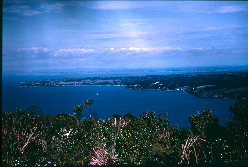 Manukau Harbour