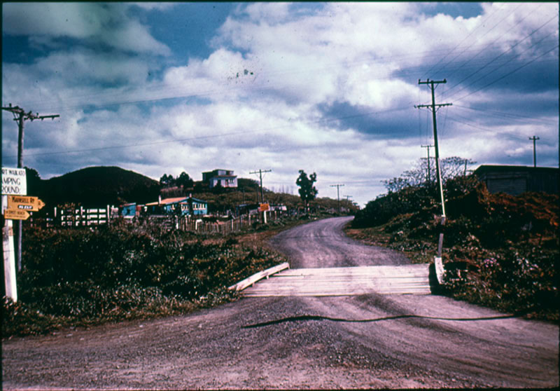 Maunsell Road, Waikato Heads