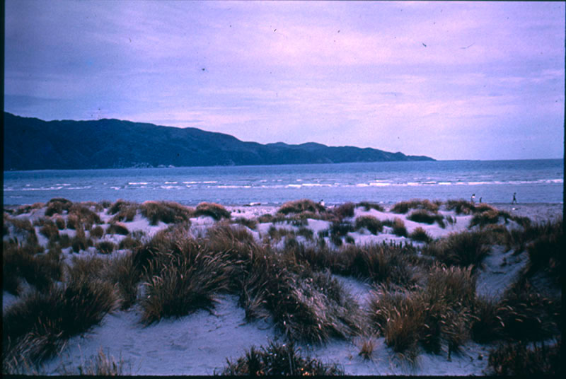 Kapiti Island from Waikanae