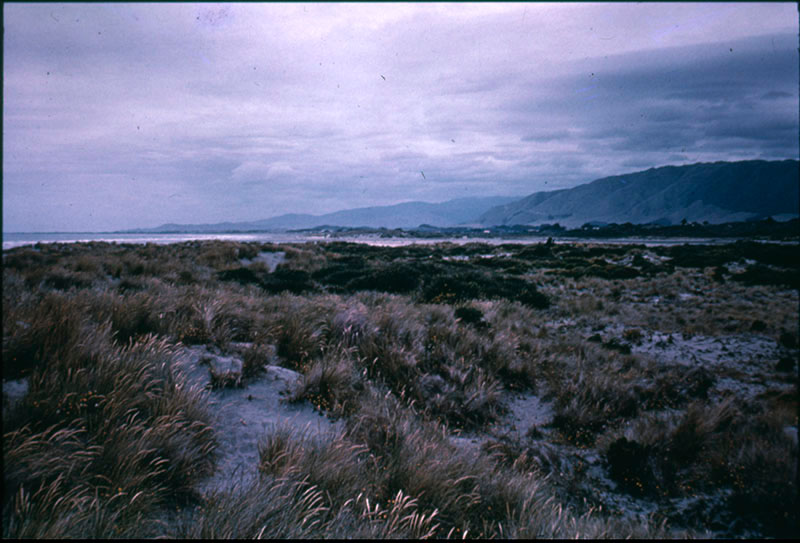 Waikanae Mission Site