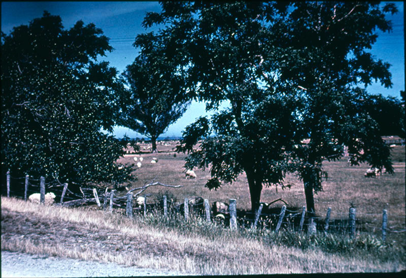 Rangitukia Mission site