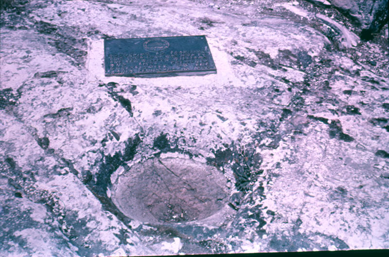 font, Whangawehi Reserve