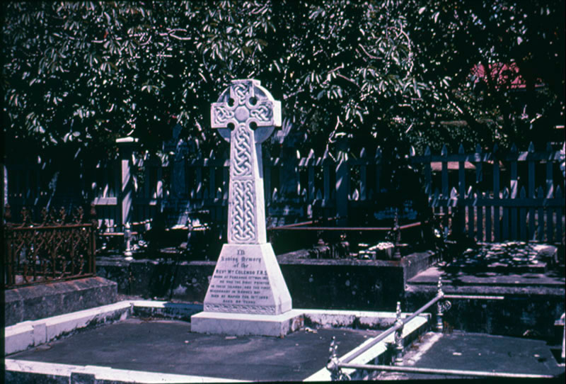 William Colenso's grave