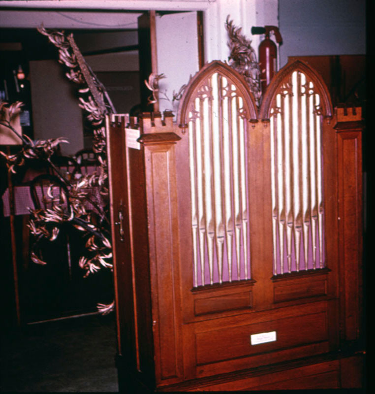 Colenso's organ