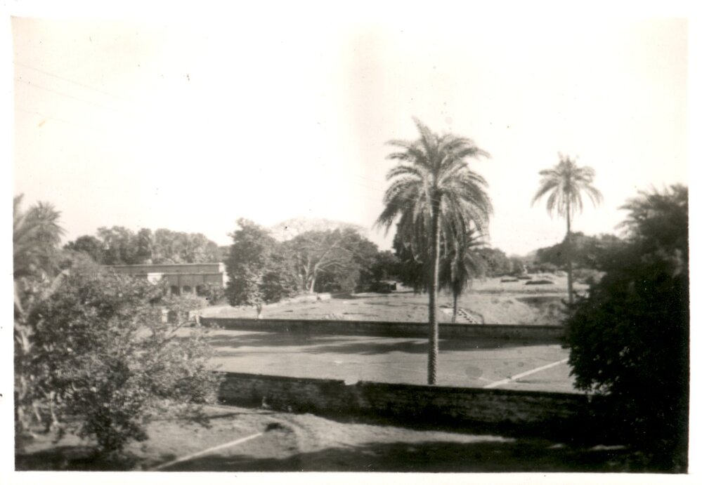 View of trees and buildings. 