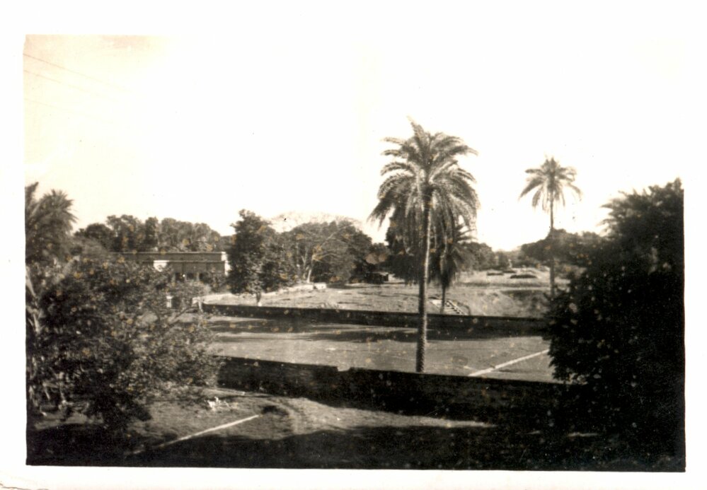 View of trees and buildings. 