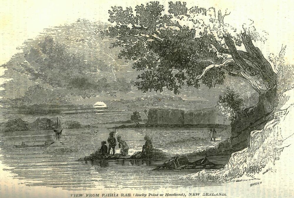 View from Paihia Rae. (Rocky point or Headland), New Zealand. 