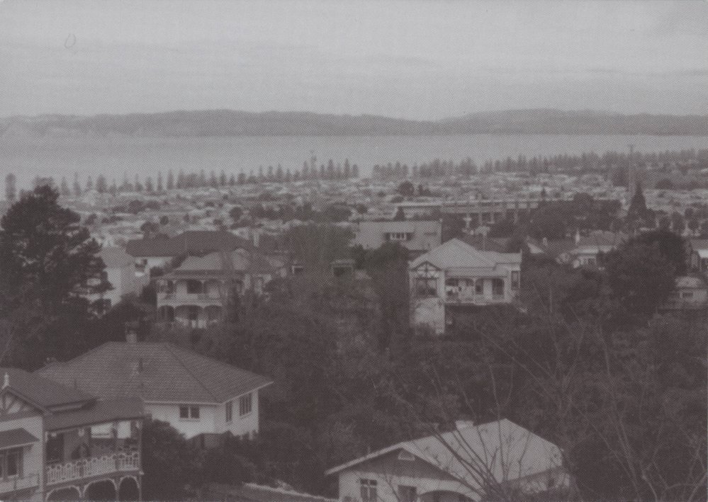 The view from Hukarere School, Napier Terrace