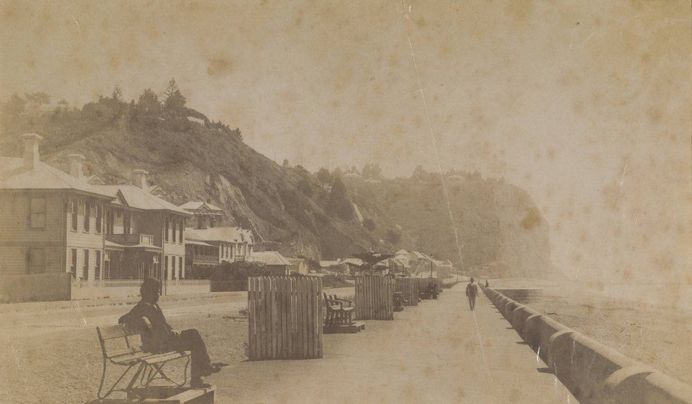 Napier waterfront scene