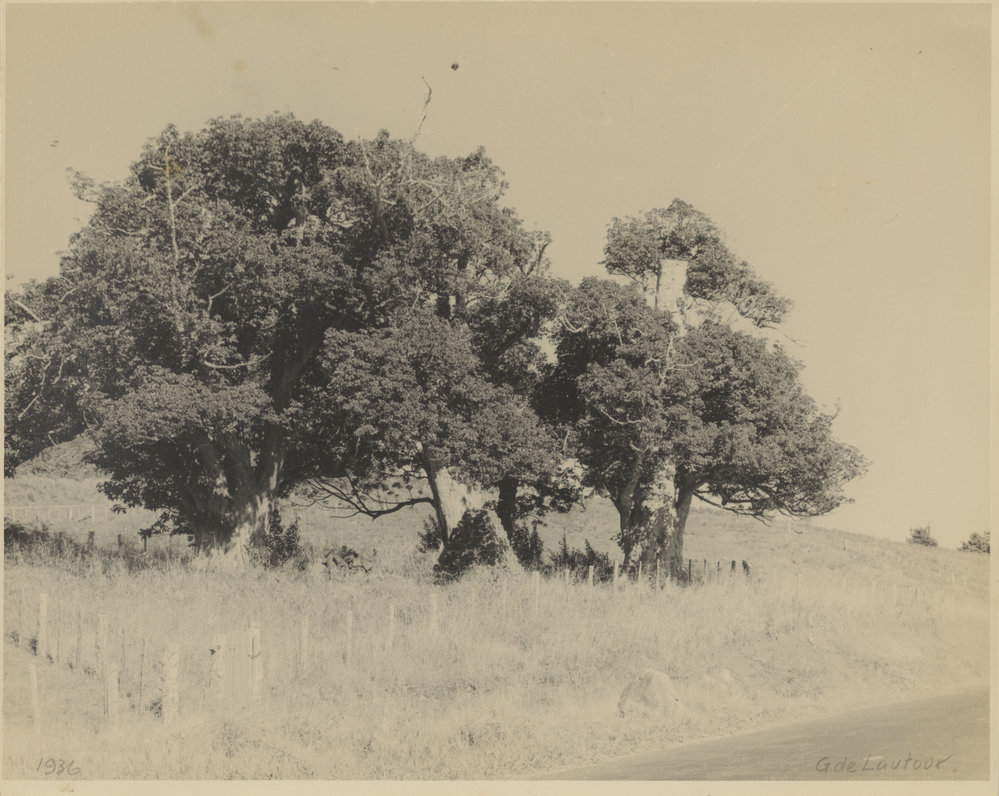 Brian Old  album photos