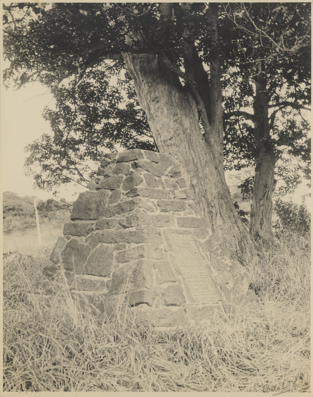 Brian Old  album photos