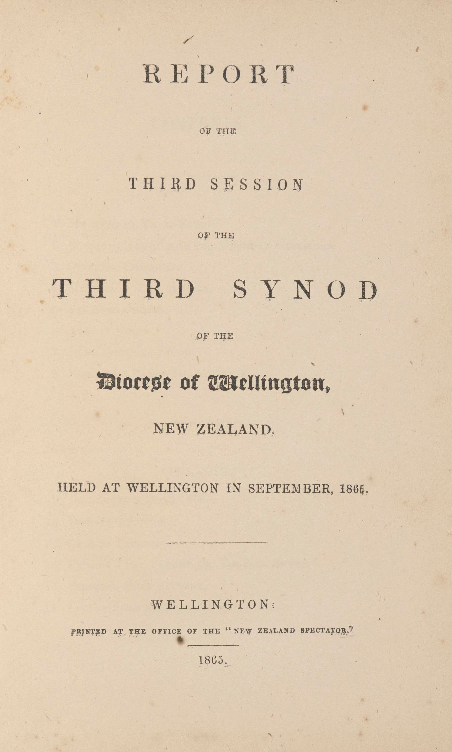 Diocese of Wellington Synod Proceedings 1865