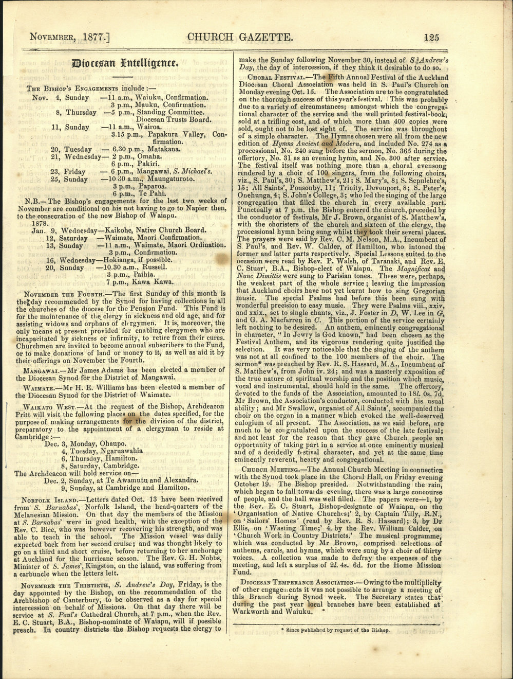 Church Gazette, Auckland: November 1877 Vol. 06 No. 65