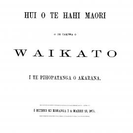 Waikato 1875