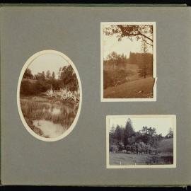 Palmer Family Album Page 8