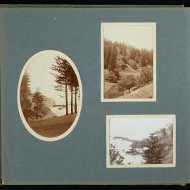 Palmer Family Album Page 12