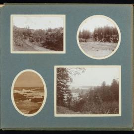 Palmer Family Album Page 13