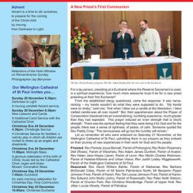 LinkWell Advent 2009 Issue 20