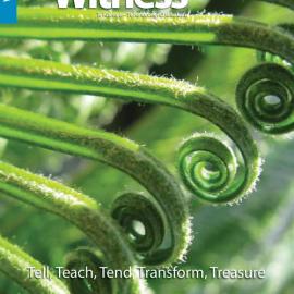 The Witness Winter 2019