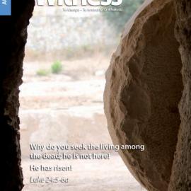 The Witness Autumn 2016