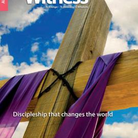 The Witness Autumn 2017