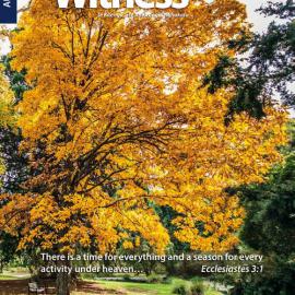 The Witness Autumn 2018