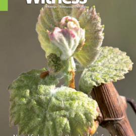 The Witness July - August 2015