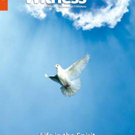 The Witness May - June 2013