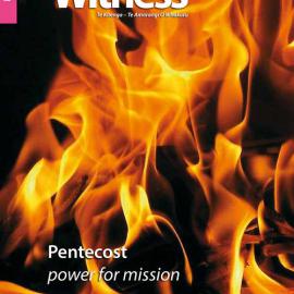The Witness May - June 2014