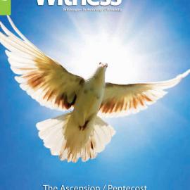 The Witness May - June 2015