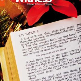 The Witness November - December 2013