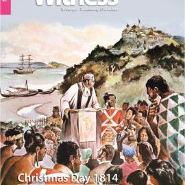 The Witness November - December 2014