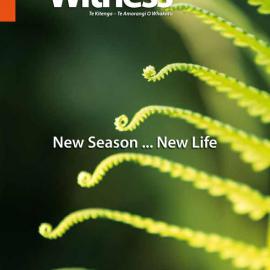 The Witness September - October 2013