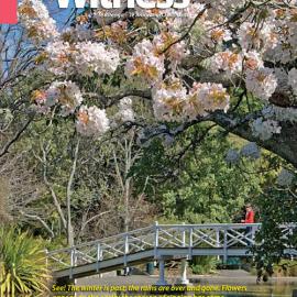 The Witness Spring 2017