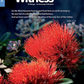 The Witness Summer 2016