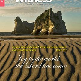 The Witness Summer 2017